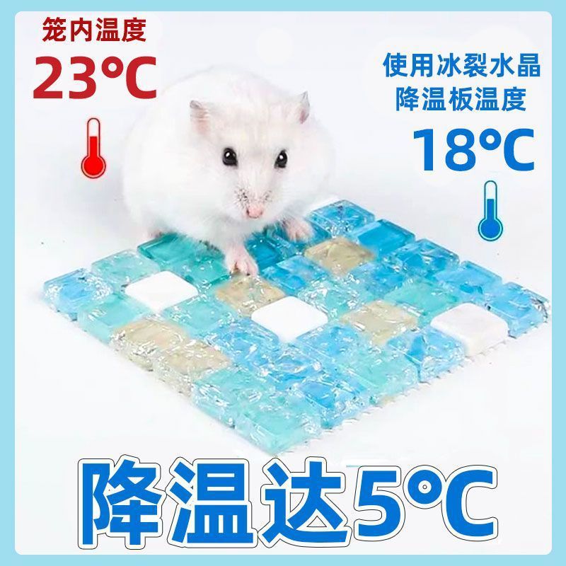 997b3564-8c49-4681-a1b4-f383255bb83d.jpe