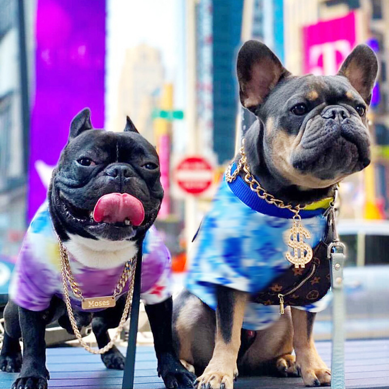 QQ图片20210902100816