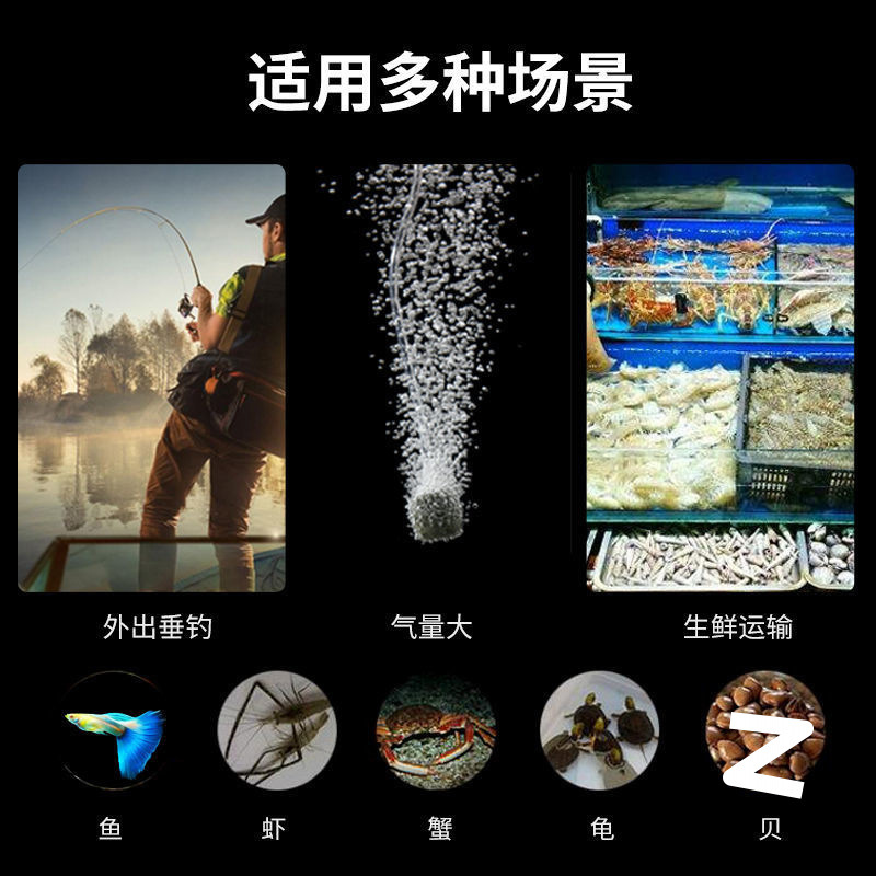 8e0e2e36-a8a4-4046-8192-e4525f3d3dd4.jpe