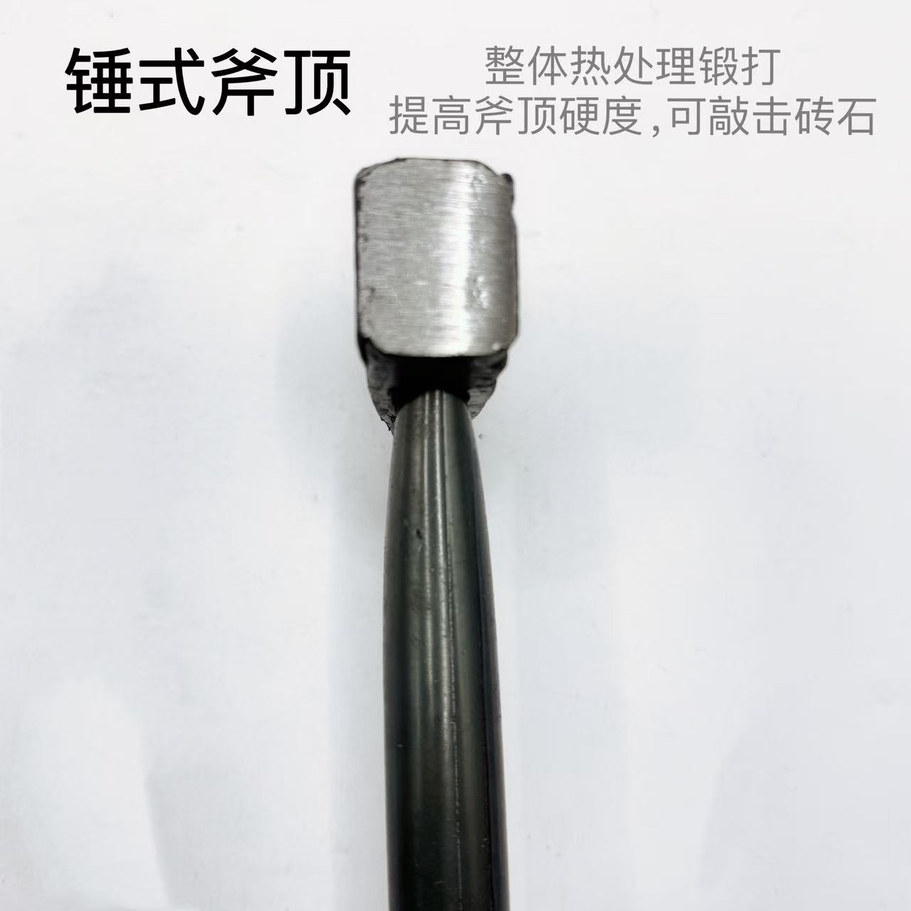 微信图片_20241011173711