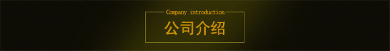 4公司介绍