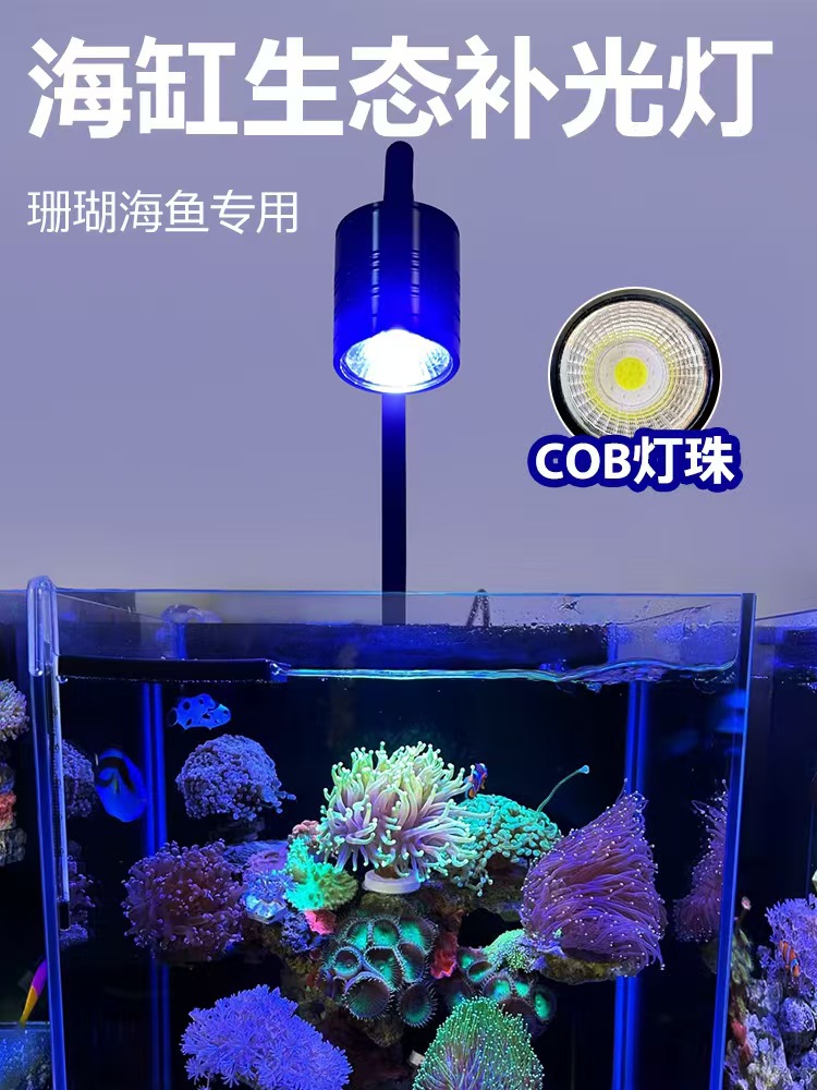 微信图片_20241121220804