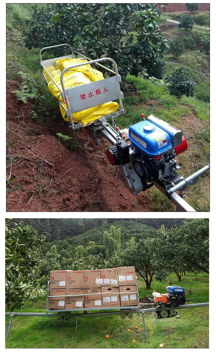 单轨运输车详情_07