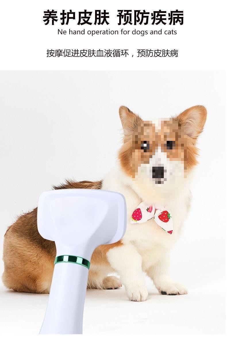 45ff24ef-40e9-4748-a441-1bbfdf98c9e3.jpe