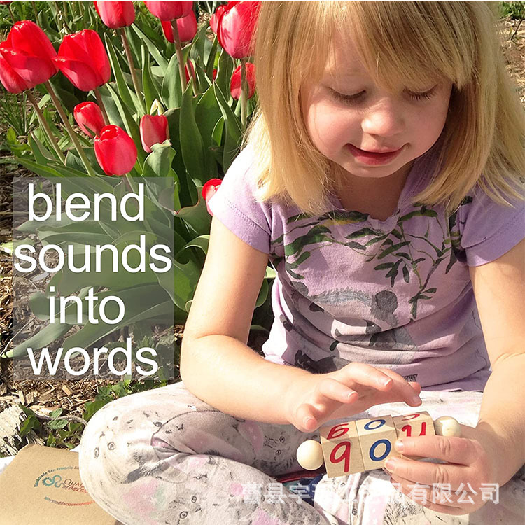 未标题-1_0003_91a3G8ISR3L._AC_SL1