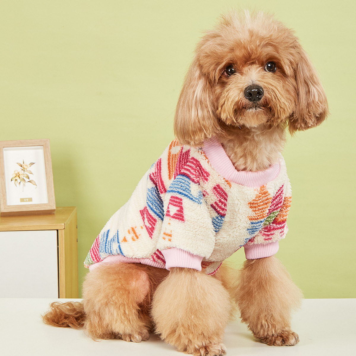 欧康宠物用品有限公司 猫衣服 狗衣服