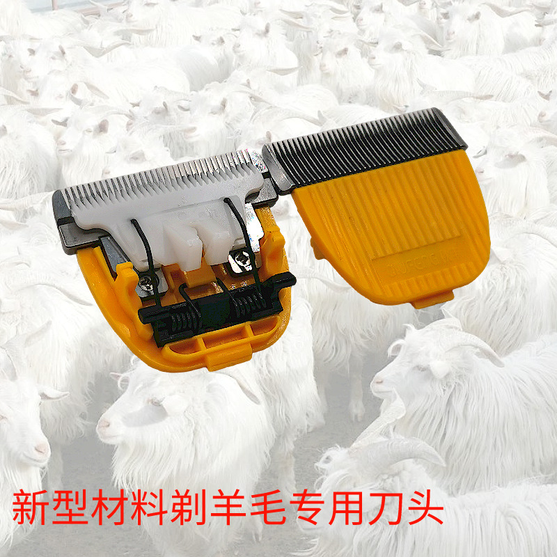 默认标题_主图图标_2022-02-28 17_59_22.