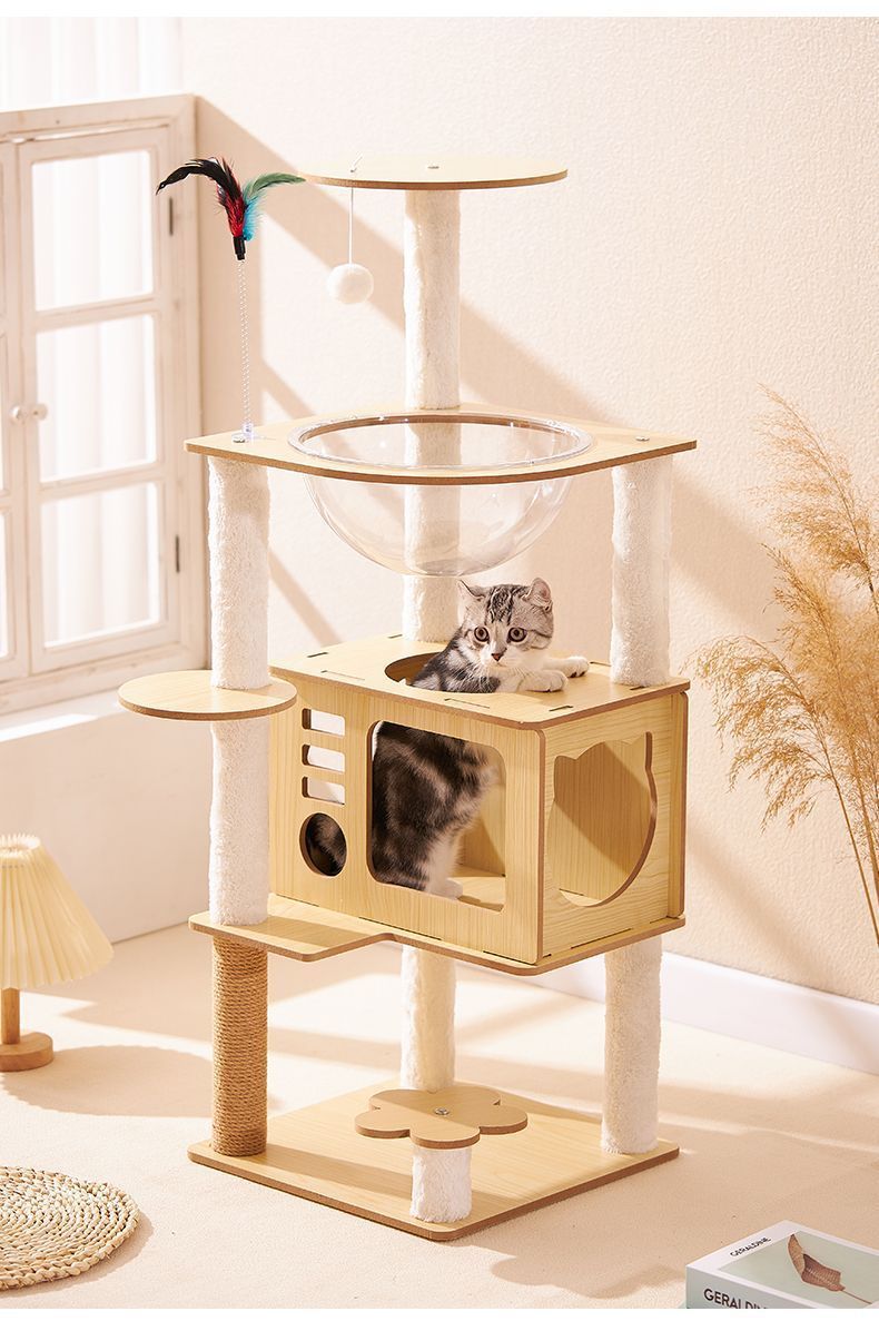 7510b419-16e3-4b5c-a20a-1d47f6363058.jpe