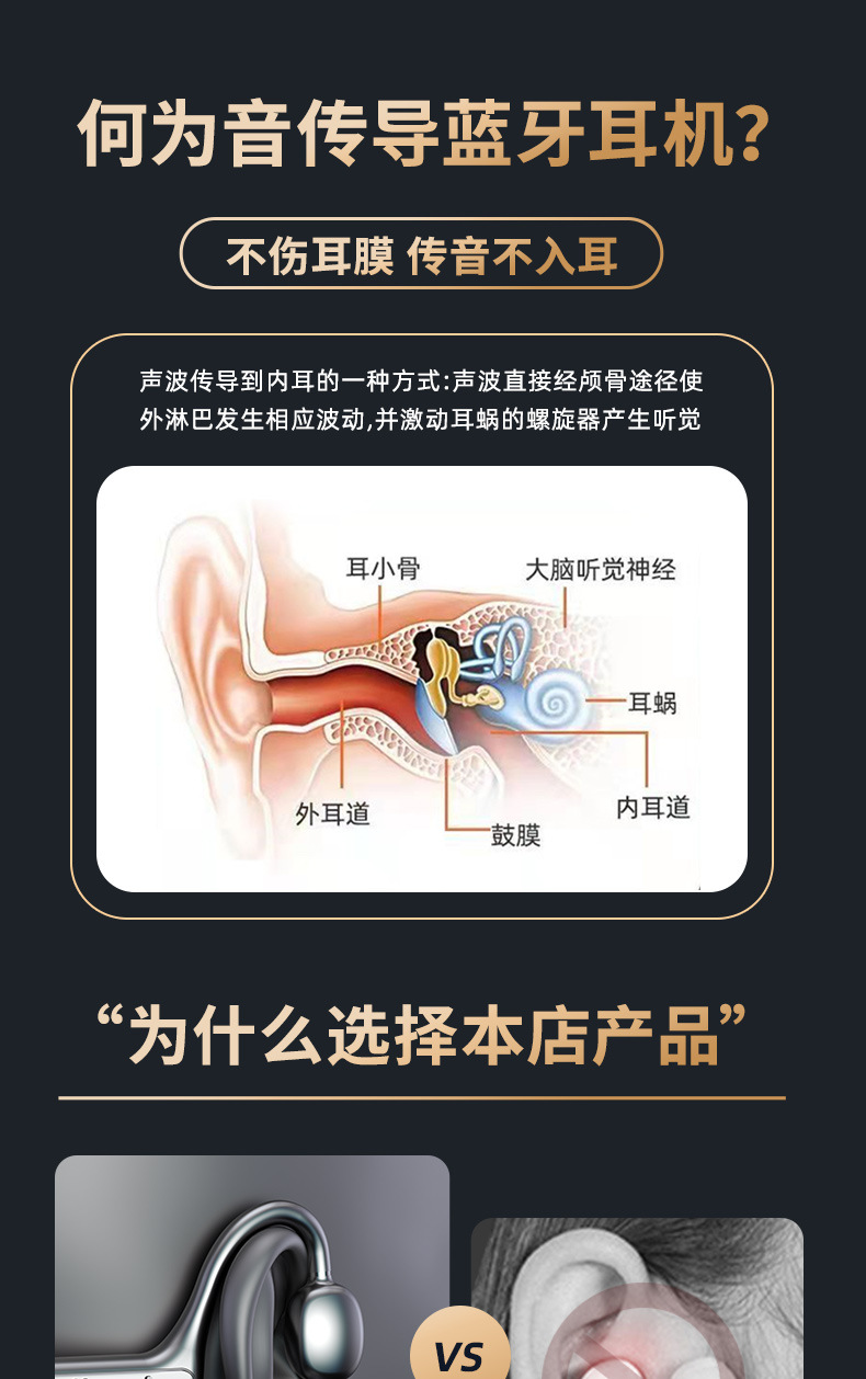 传导_01.jpg