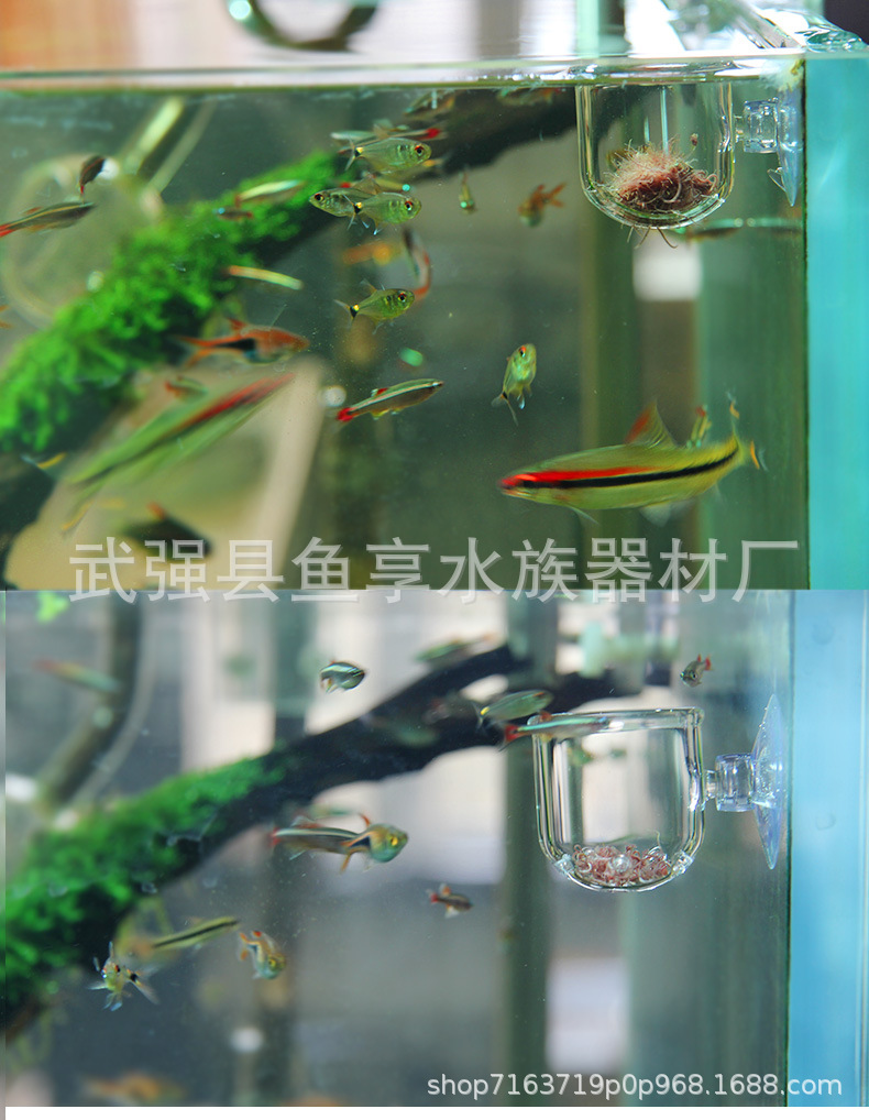 O1CN01gXRGwM1XolGRIW3mQ_!!2347