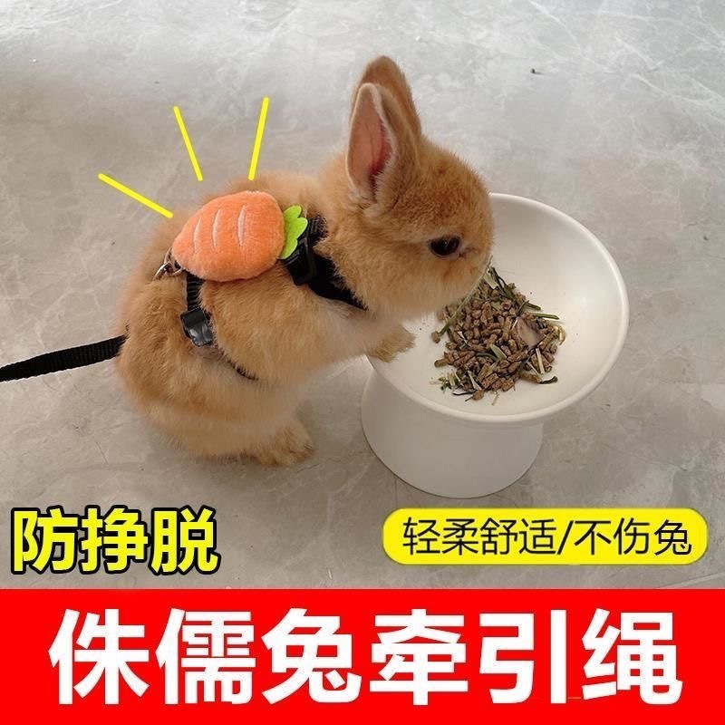 40be8788-73fb-4309-93c4-471b8710a1ab.jpe