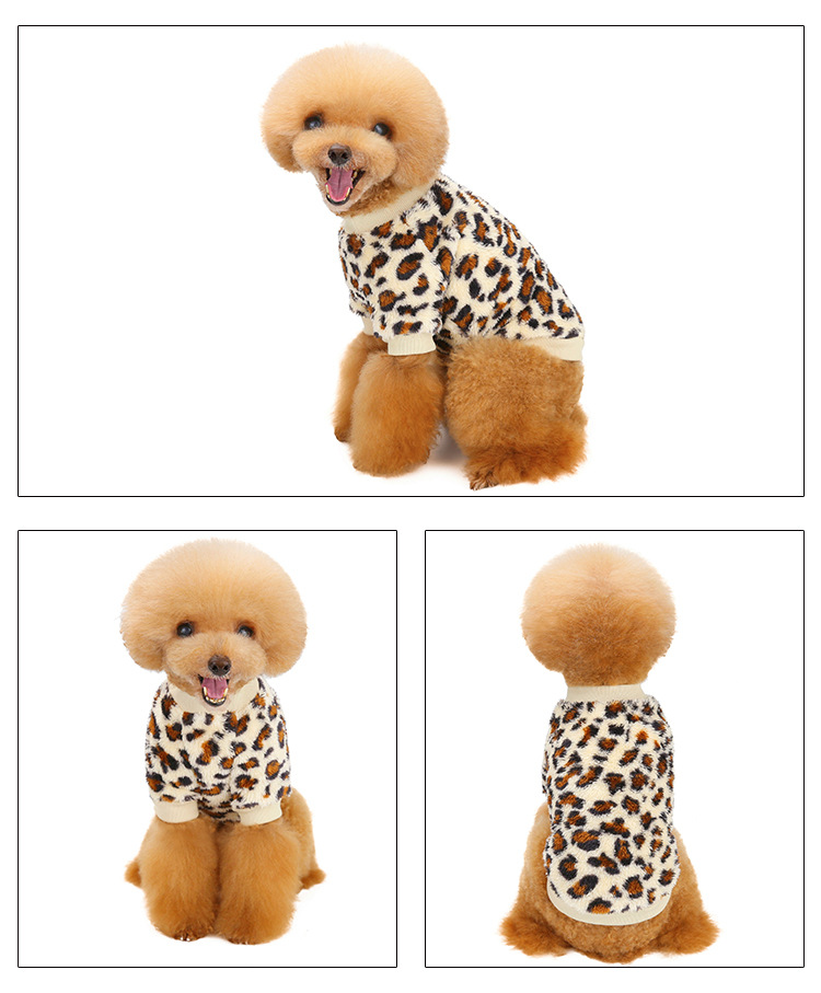 KLN21058-01_01 (10).jpg