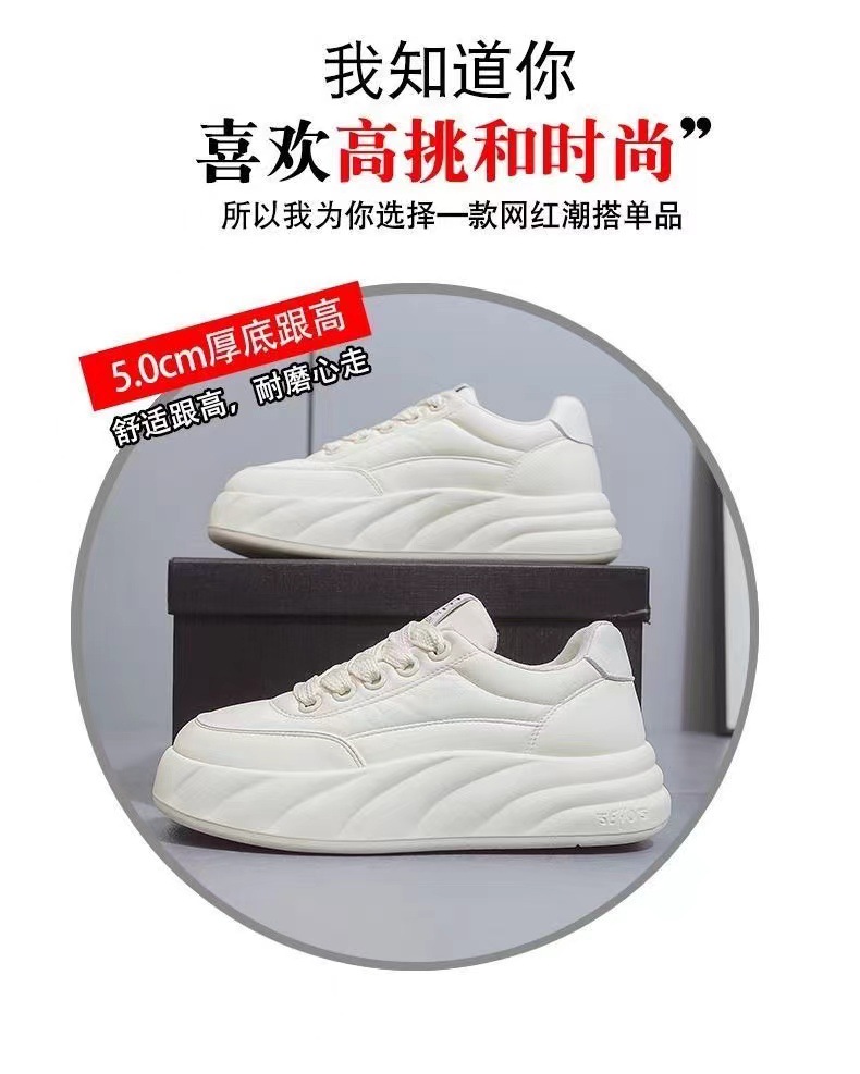 微信图片_202409121733313.jpg
