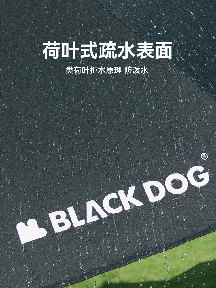 d6506bc4-f477-4cc8-b119-31587d387150.jpe