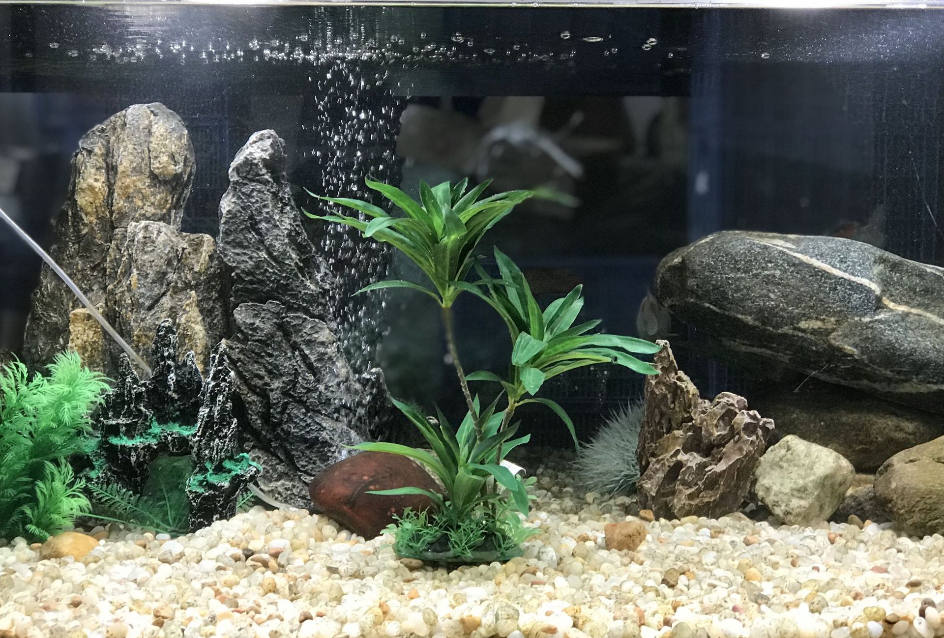 H05d0f47abfad4013b09ba26f257df