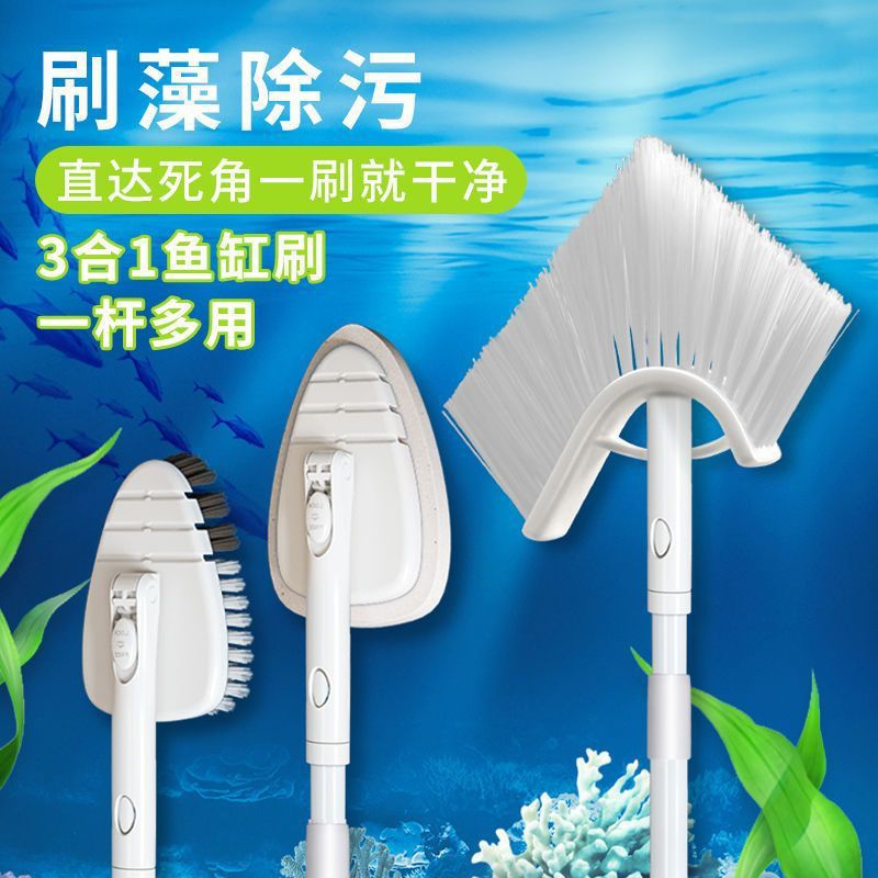 ad172e74-adfc-48b0-8e1b-750426ed9569.jpe