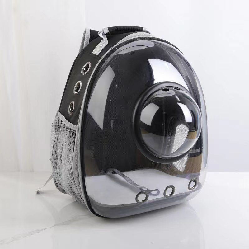 de0c86b4-4419-40b2-bfd0-f3f9ccf0ff9e.jpe