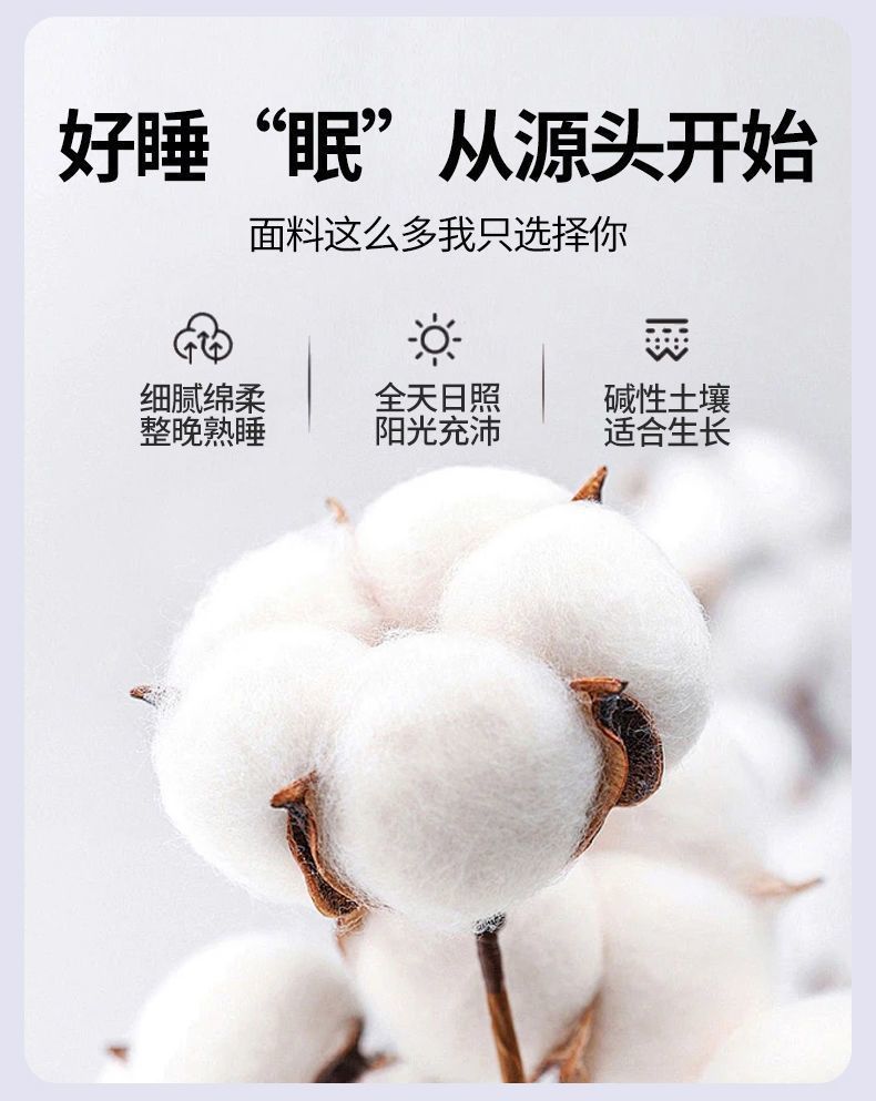 0f98a170-bc25-46be-97d4-20744f5c098a.jpe