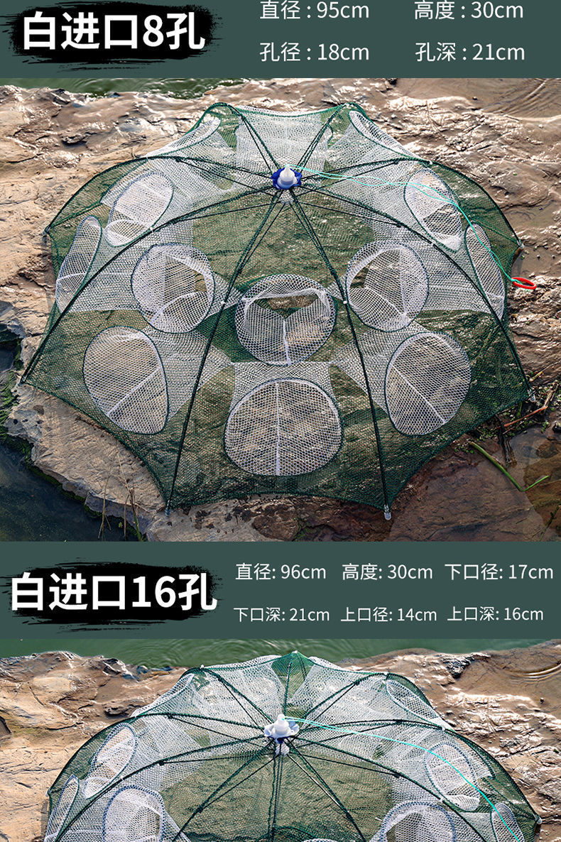 6593134d-68b9-410f-ac96-c4e420fd3374.jpe