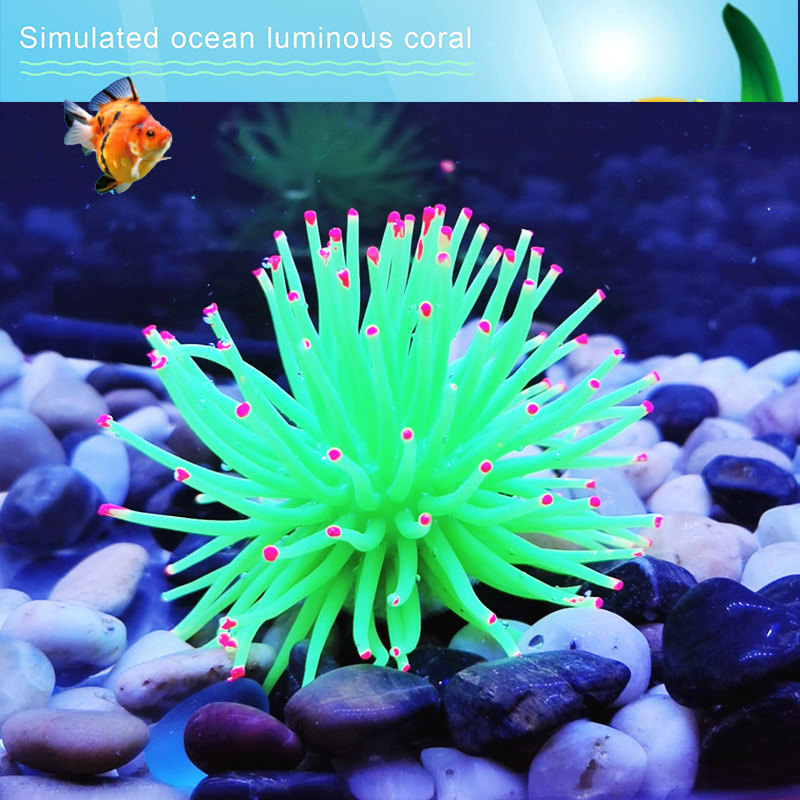 71yzwQcTOES._AC_SL1500_