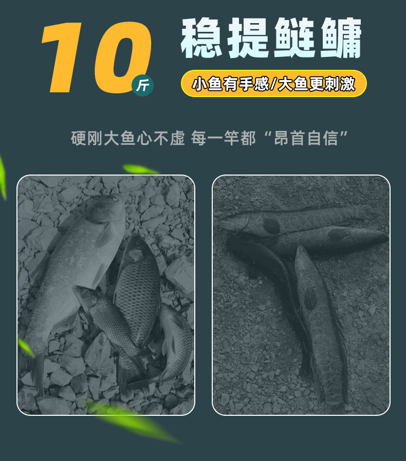6c4c6f3c-254c-4020-8412-9cb9e473cdbe.jpe