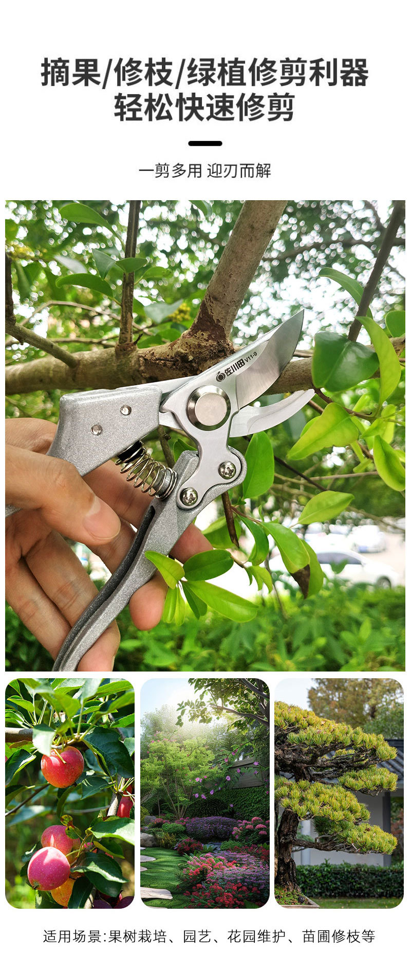V11-9详情03.jpg