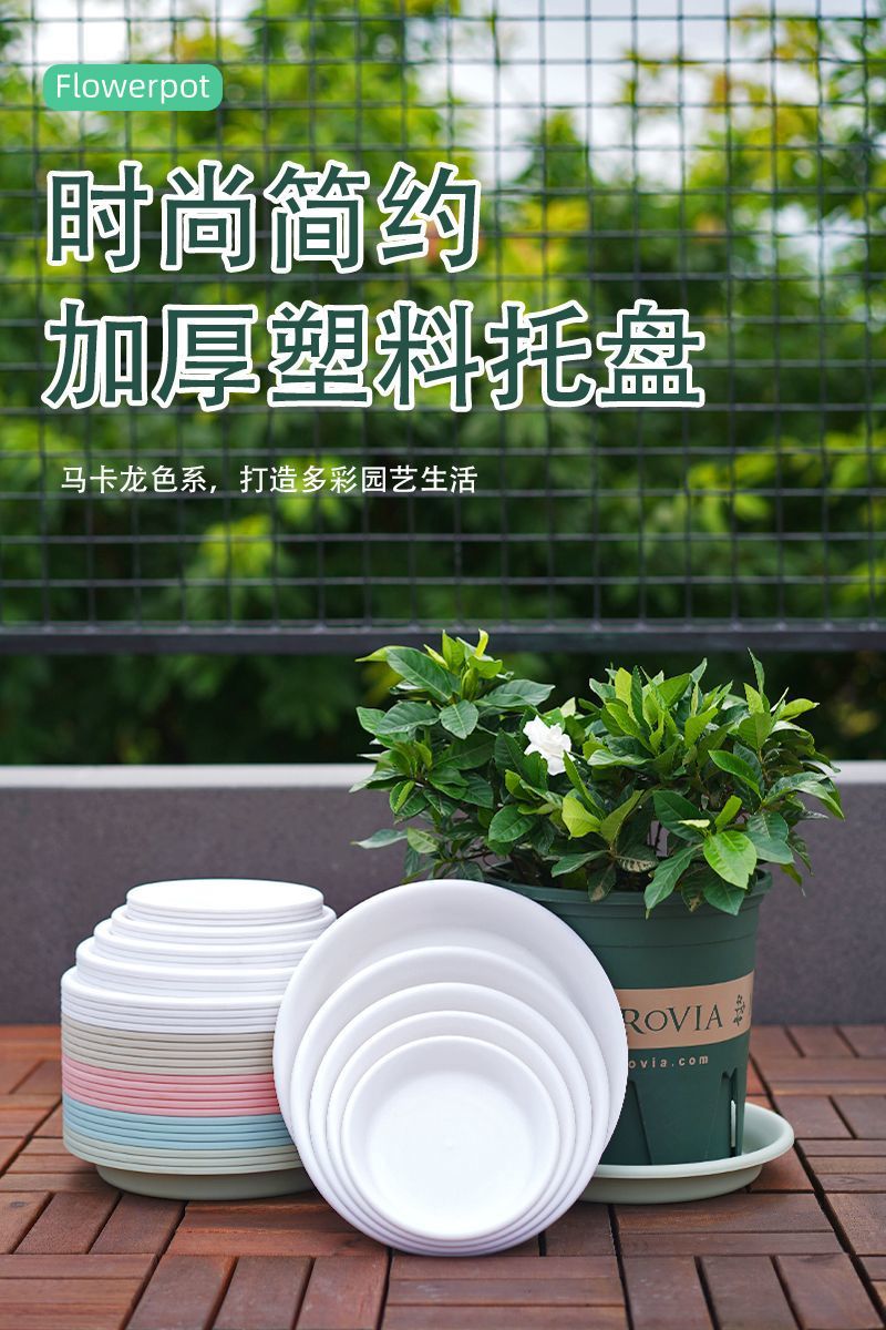 407f3924-8ae3-42ce-9667-fc1104a09be5.jpe