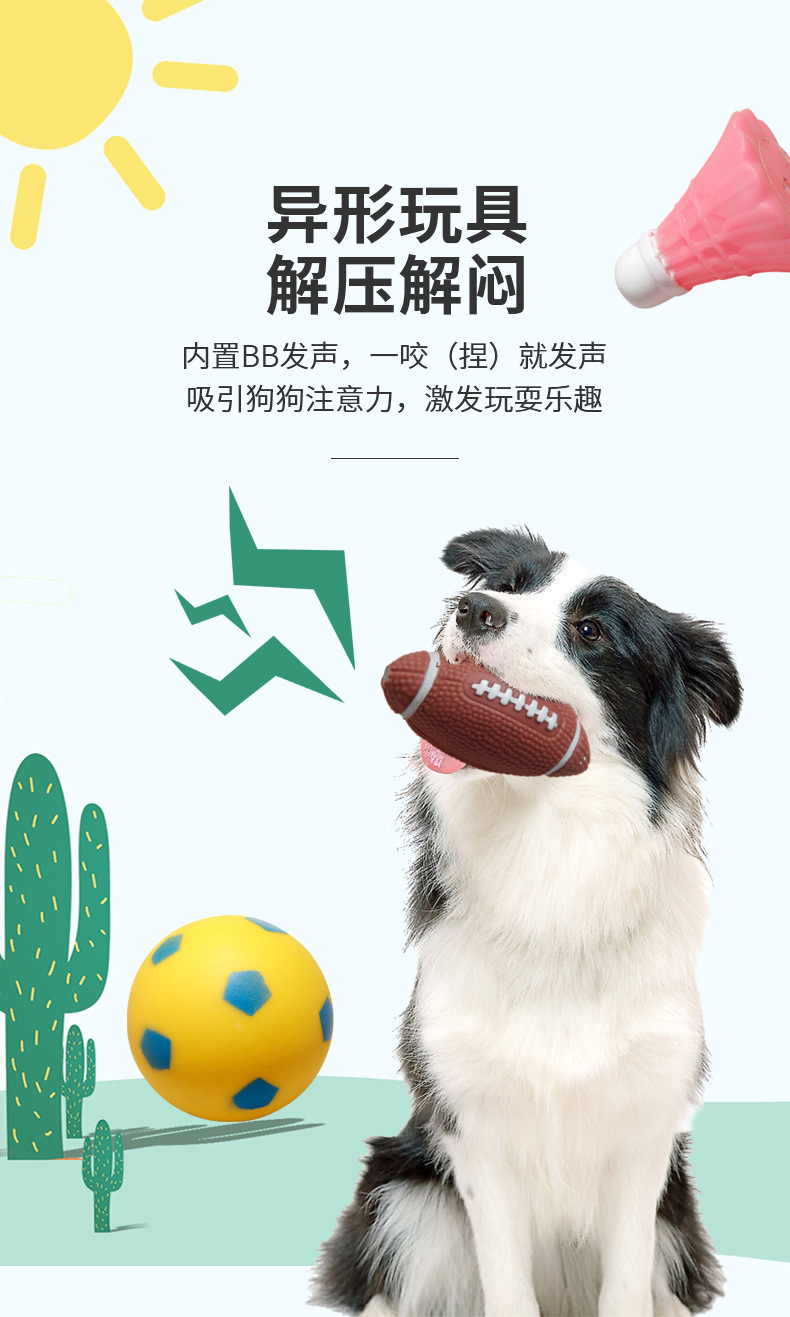宠物用品