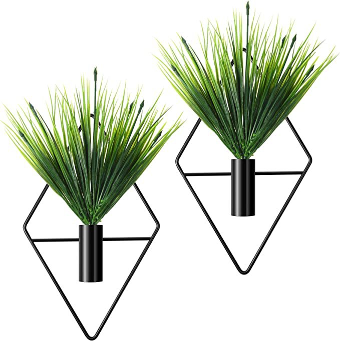 71lCF5GFe8L._AC_SX679_