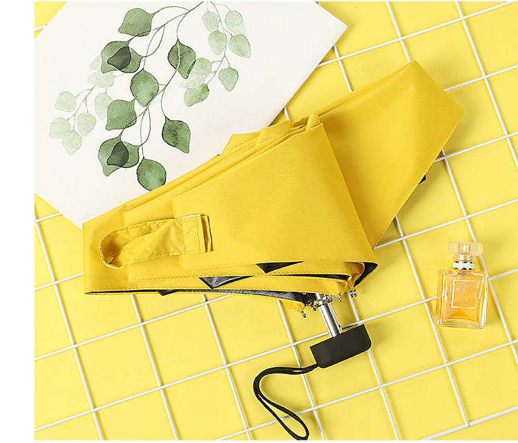 10912491279_1481513719