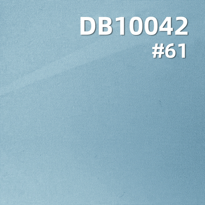 DB10042-12