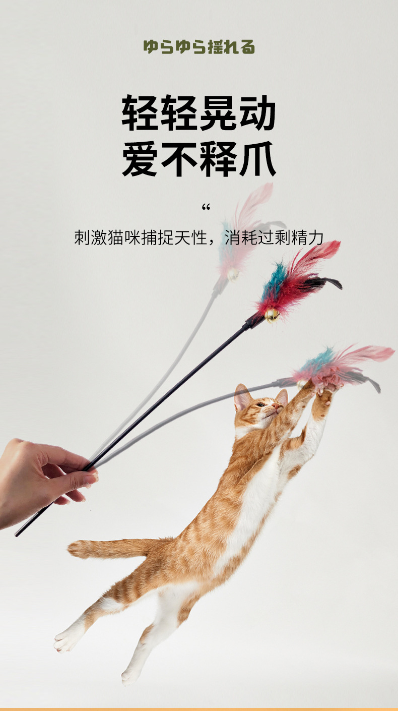 逗猫棒详情_03