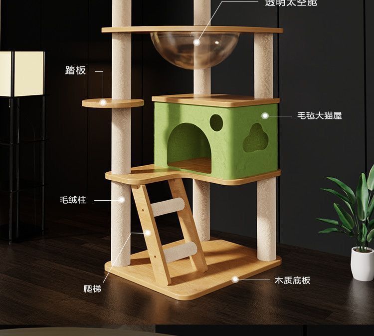 36a926ee-fe03-4a5f-98c3-fc73eed78113.jpe