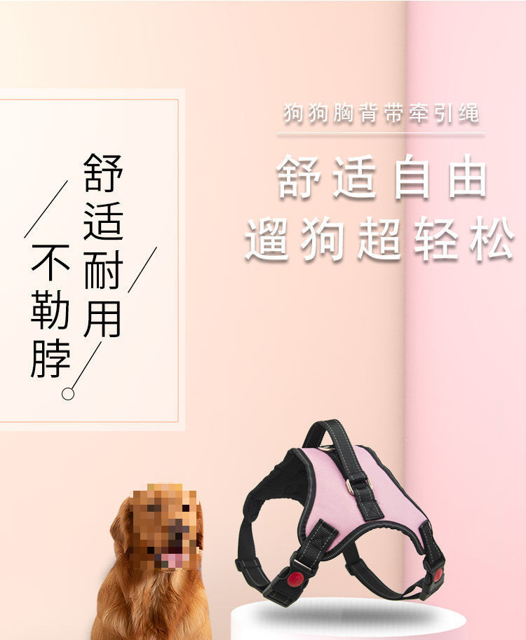 2727ec44-453a-4888-bea3-cef4e8c7c844.jpe