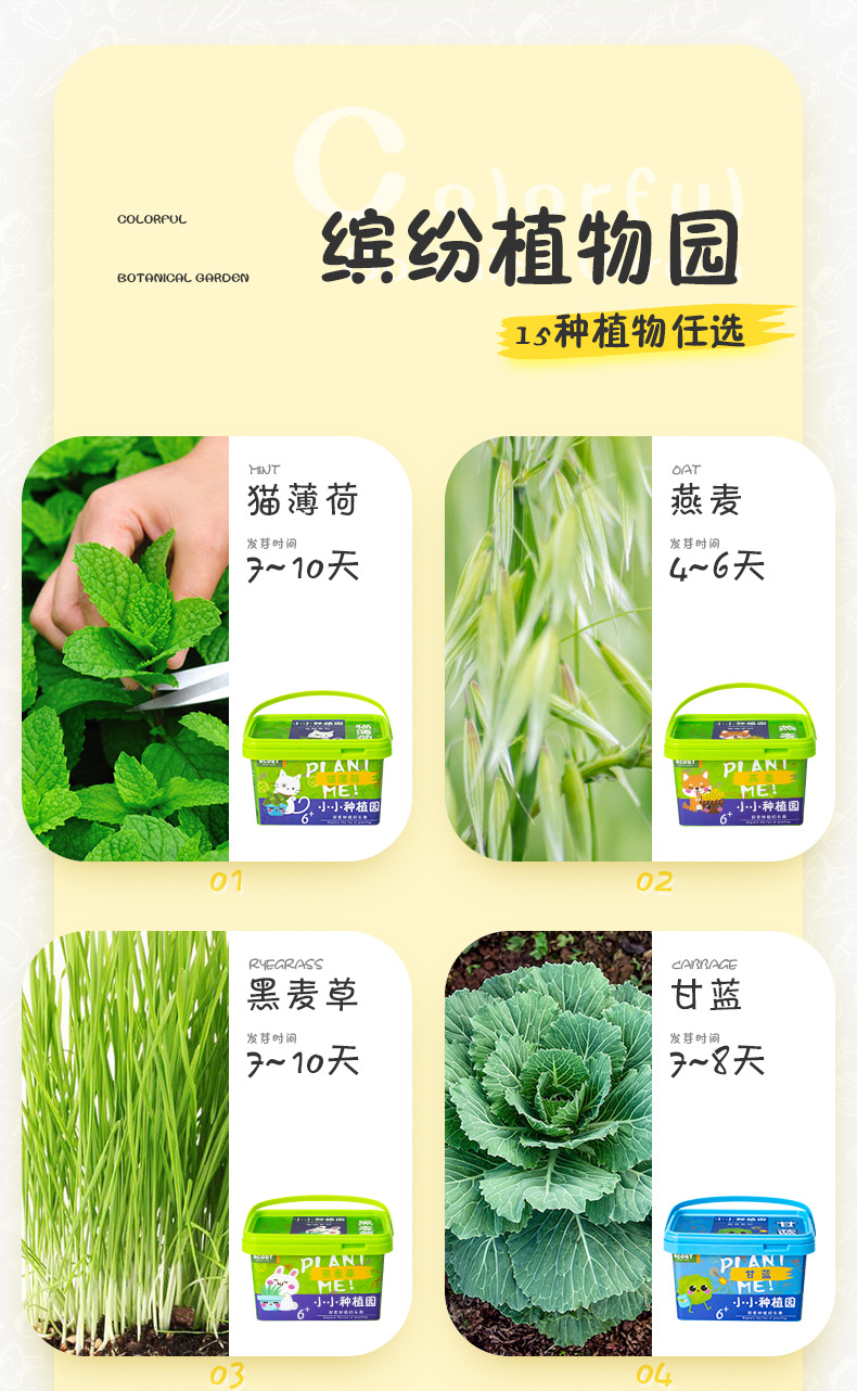 详情源文件_14.jpg