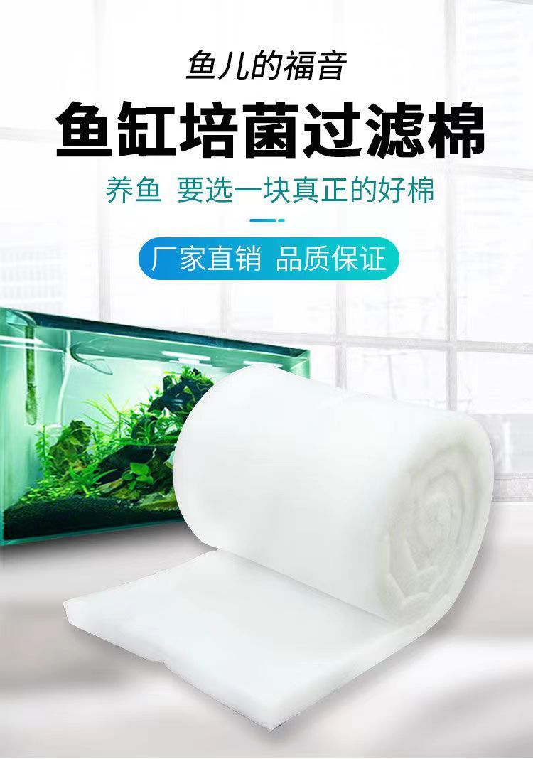 f78469ef-e9ef-4c2b-ac6d-aee76e91a307.jpe