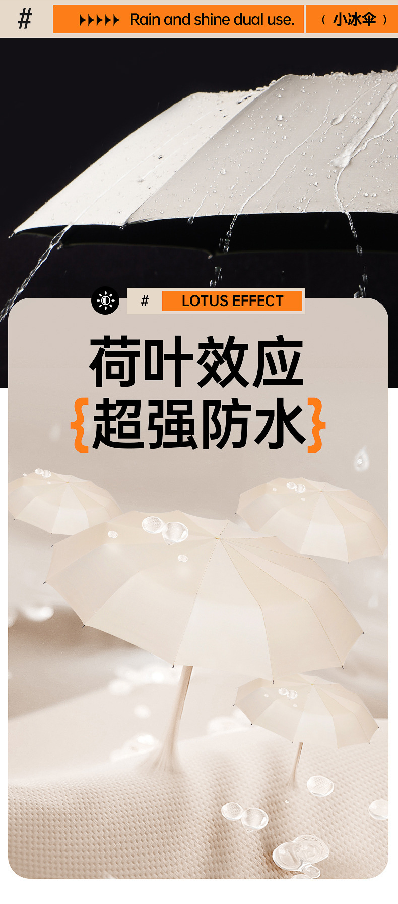 892详情 (10).jpg