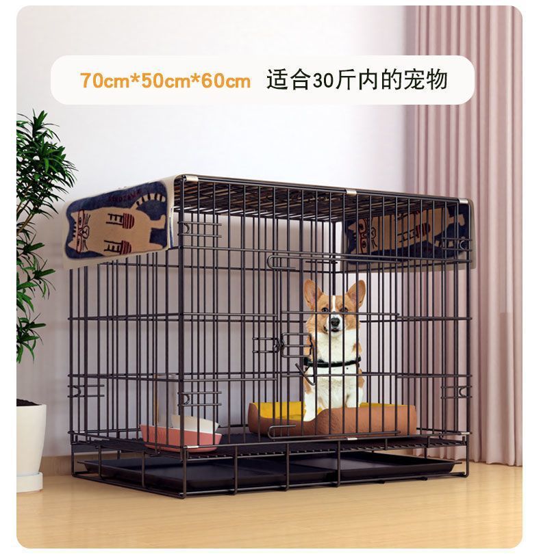 11c48c13-b75f-4a56-981d-f7abb40e98c0.jpe