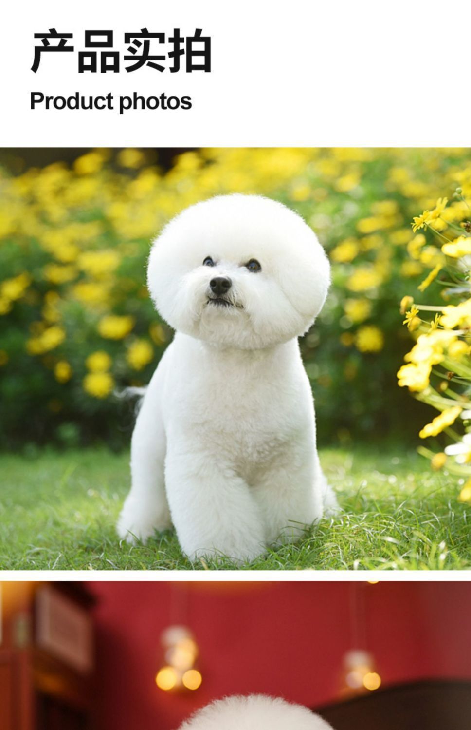 980cbb0e-5774-4d80-a859-3c89ff2bc3c1.jpe