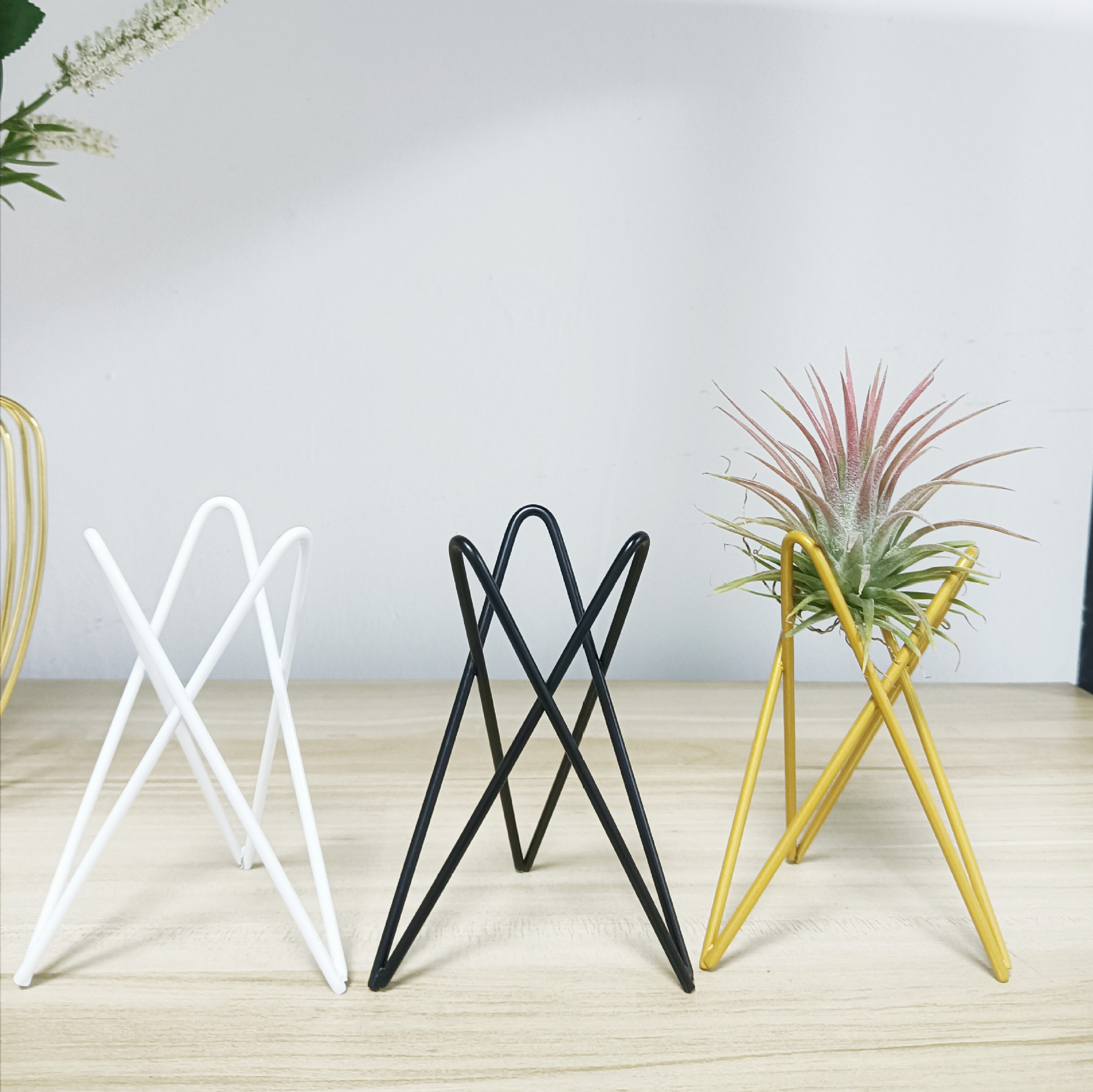 新建文件夹 (2)IMG20240318124034