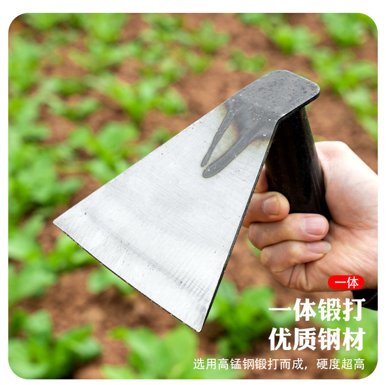 177498a8-2fc6-4360-a5b8-caa62b134f2d.jpe