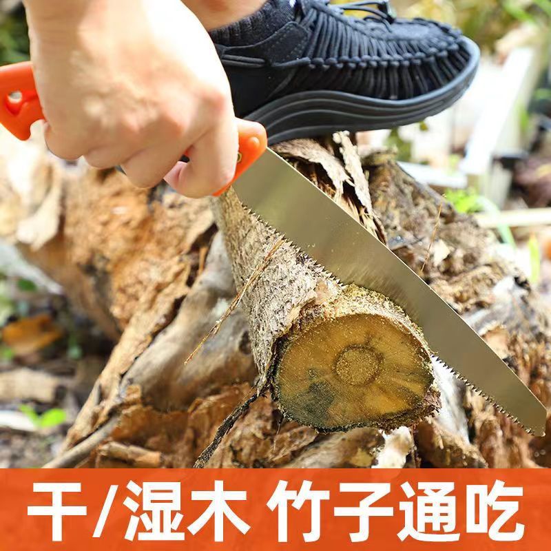 微信图片_20231006210352