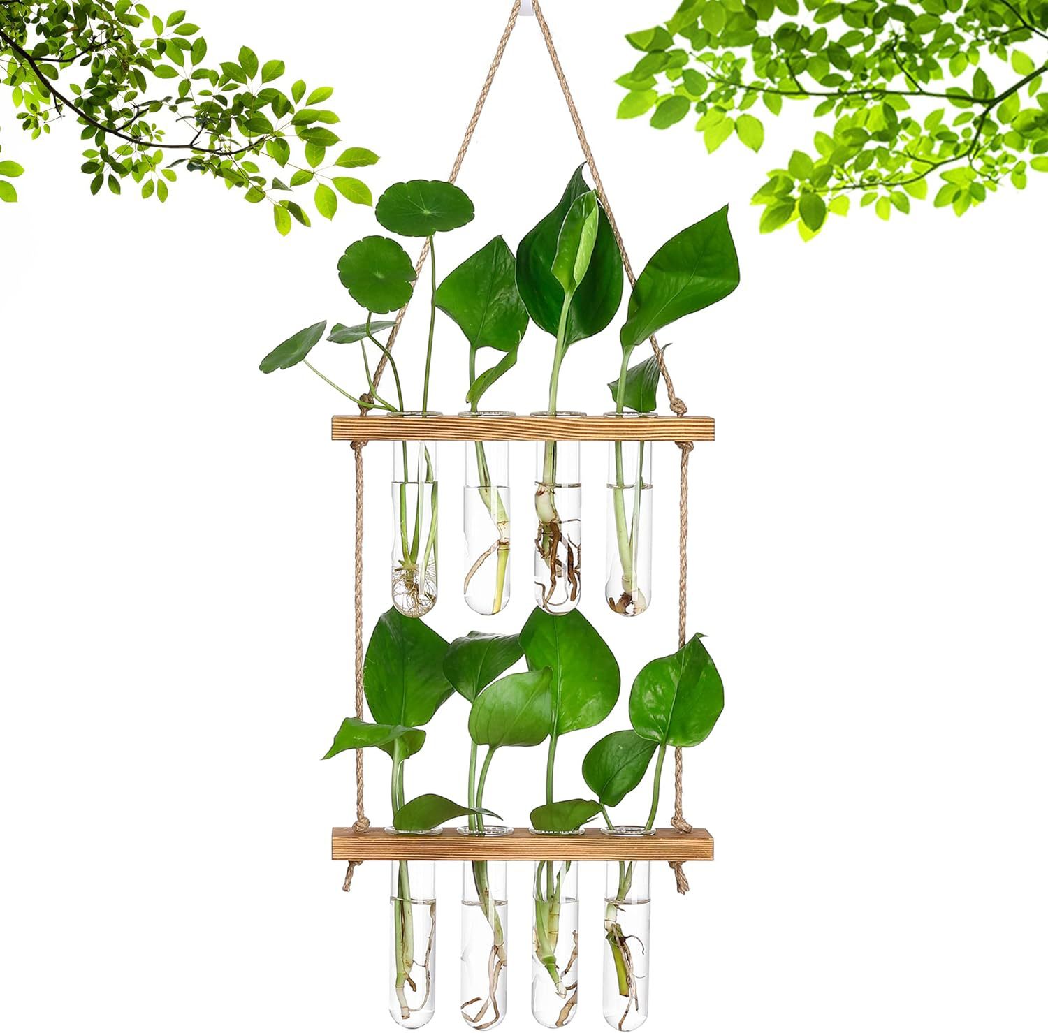 71+ZYuyo60L._AC_SL1500_