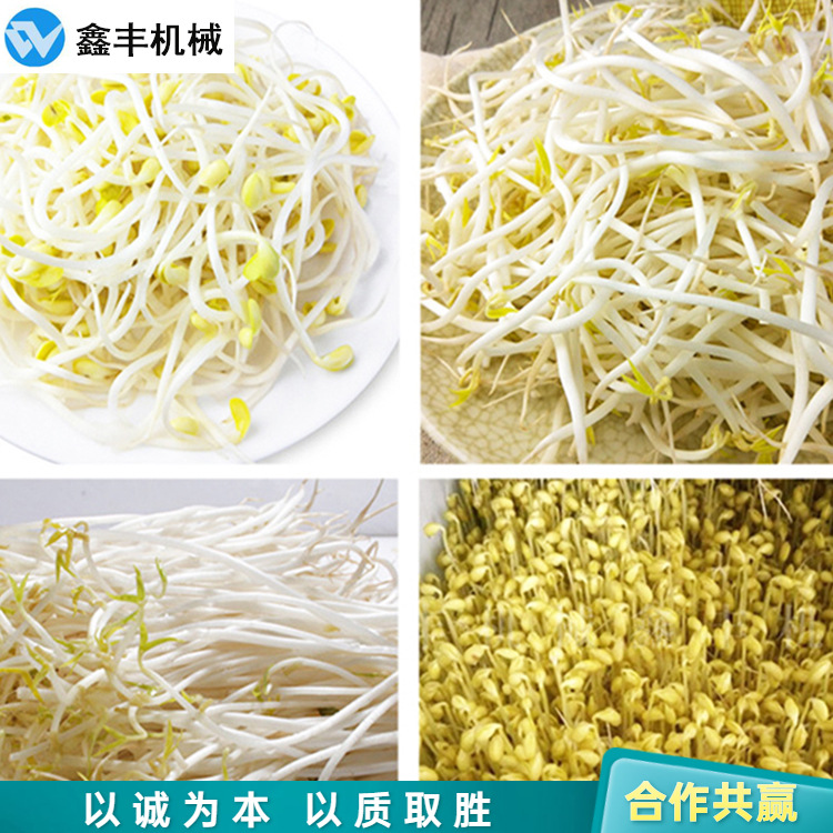 豆芽厂机器 (14).jpg