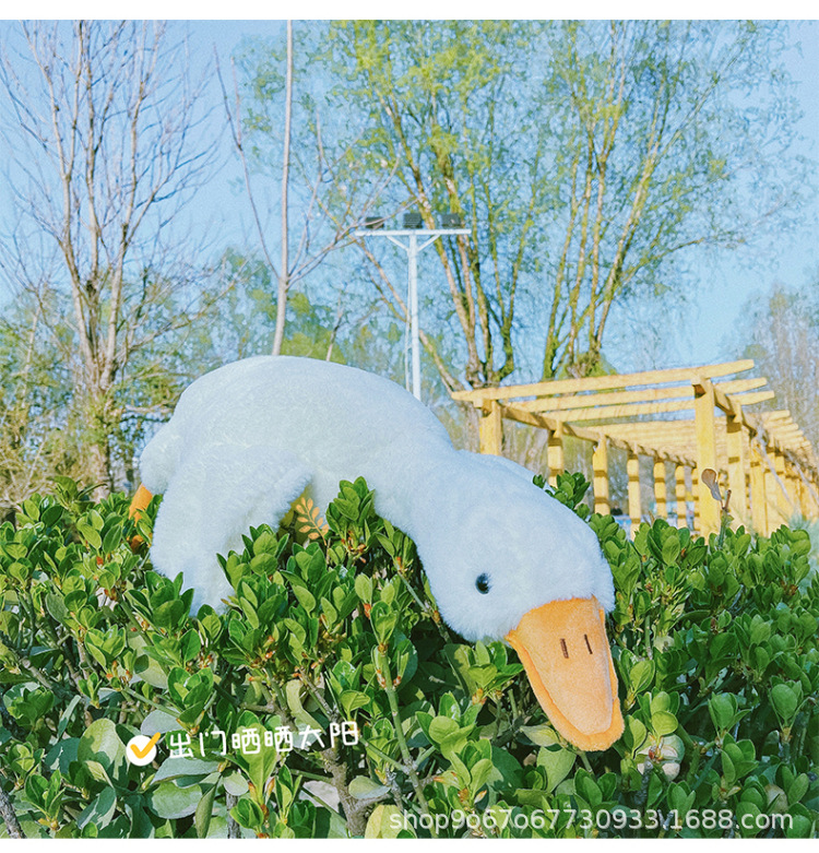 O1CN01yf2WPV1EjkRiFeo3t_!!2210