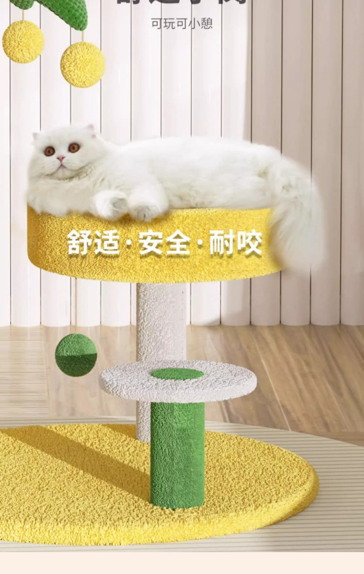 8cd14230-2457-4dbd-9b25-bd11d765d7e1.jpe