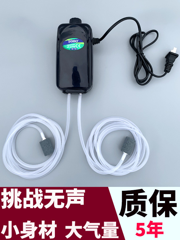 74ed3153-17c5-4fe2-908a-0cbcac31cf90.jpe