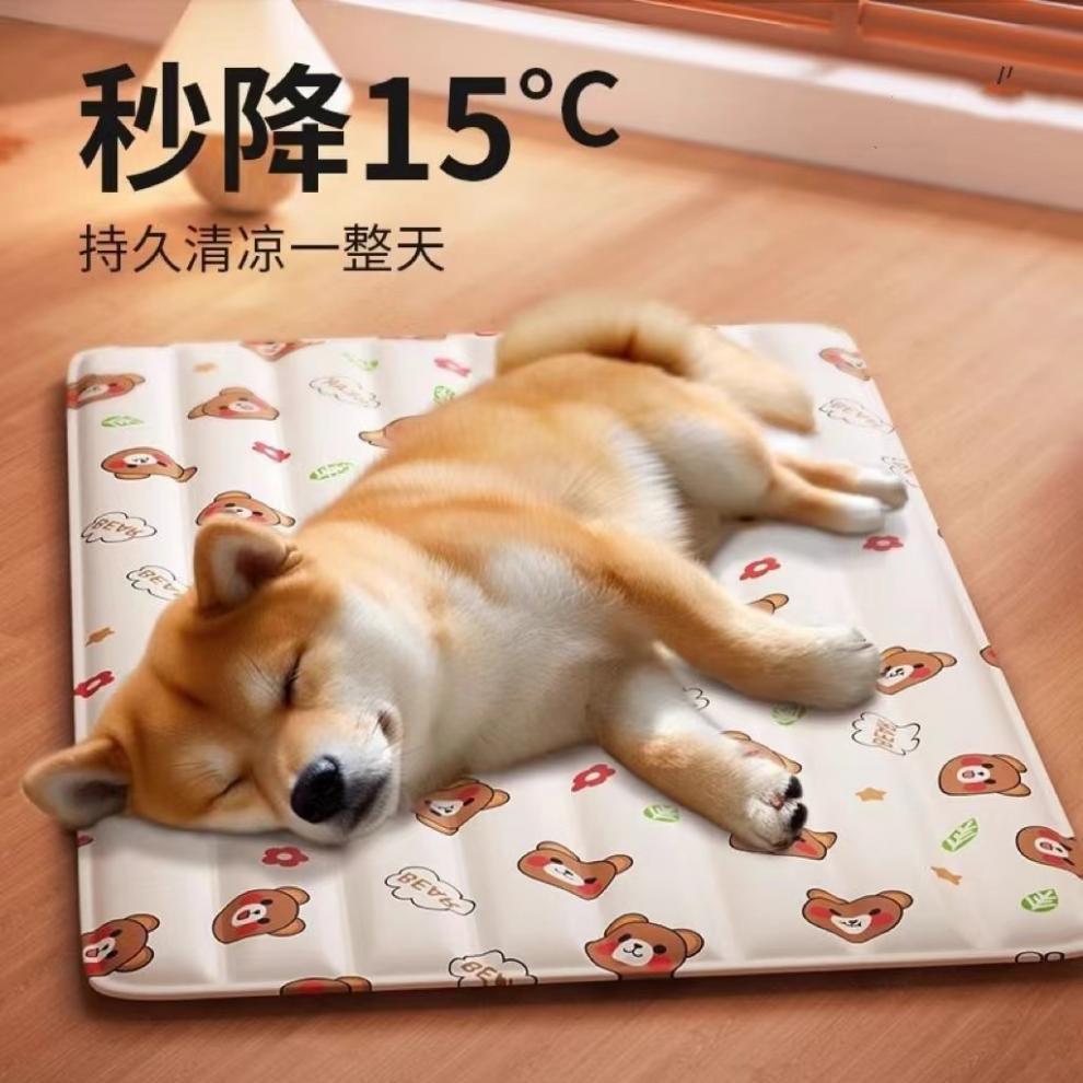 8b13c75e-916e-45b1-b120-41c404ffa87e.jpe