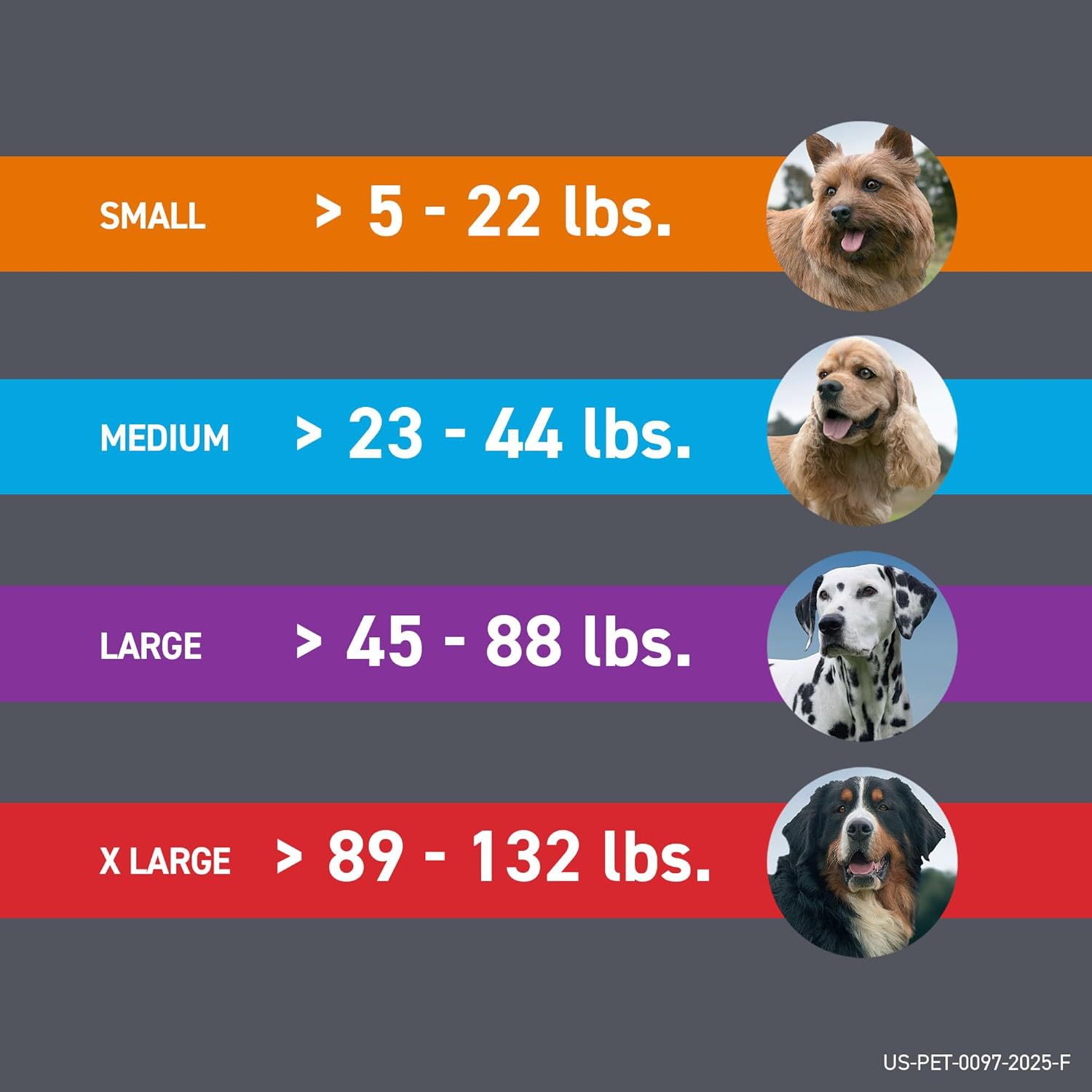 71NcaFt8VFL._AC_SL1500_