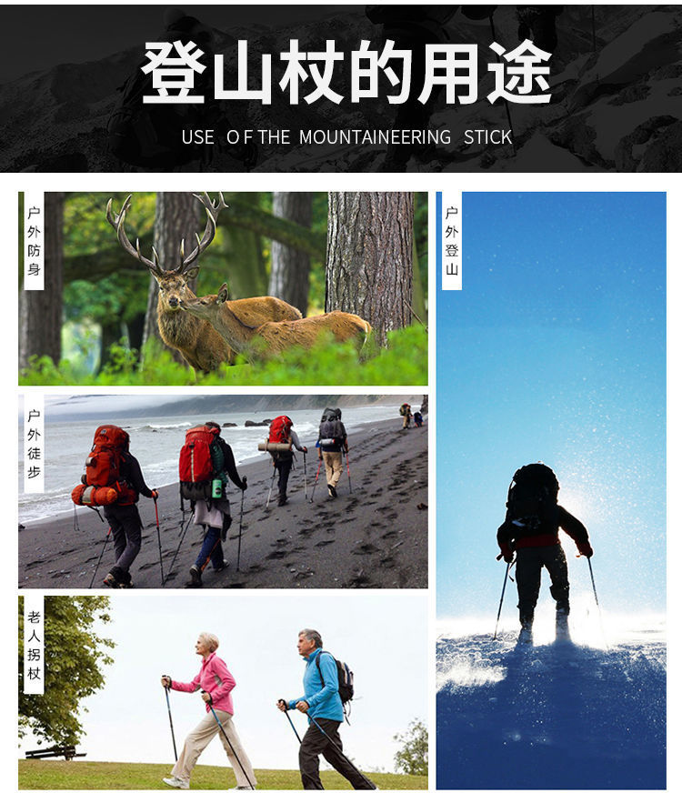 7bc7c980-f58d-4399-a74c-a65284bb4d13.jpe